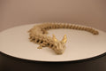 Ashbone Dragon - Desk Pet