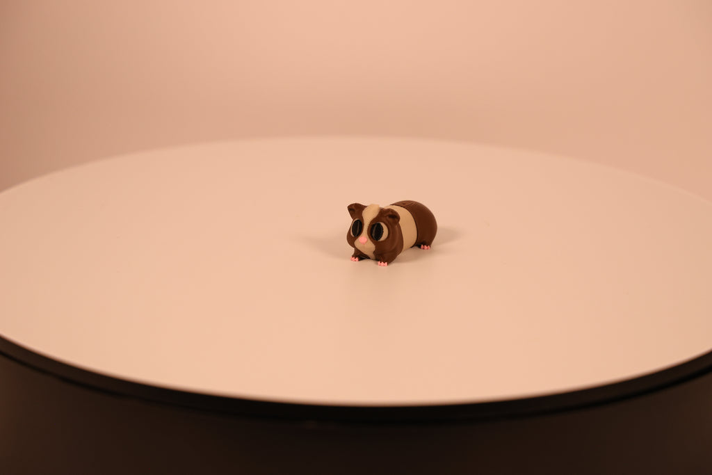 Peanut the Guinea Pig - Desk Pet