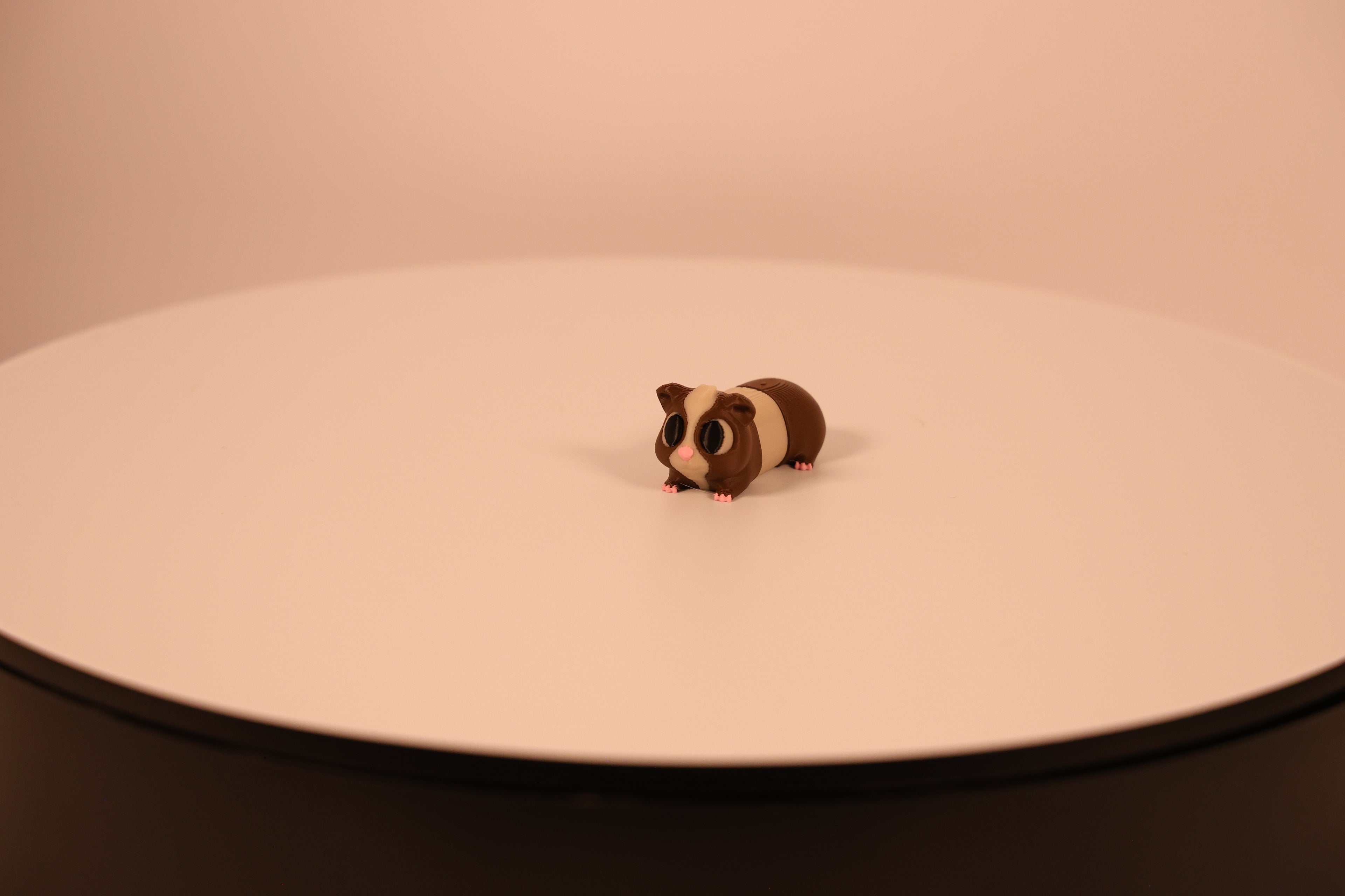 Peanut the Guinea Pig - Desk Pet