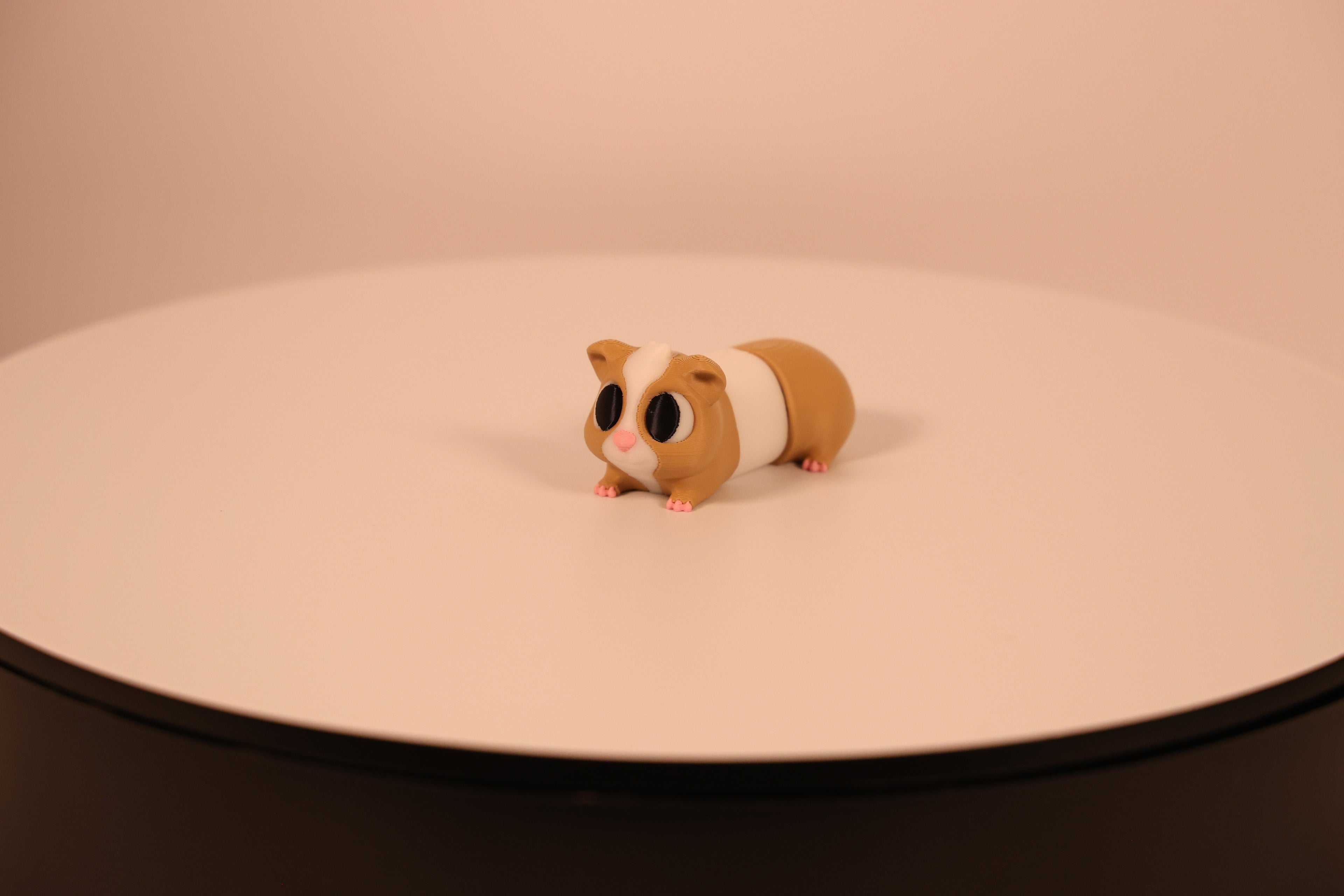 Peanut the Guinea Pig - Desk Pet