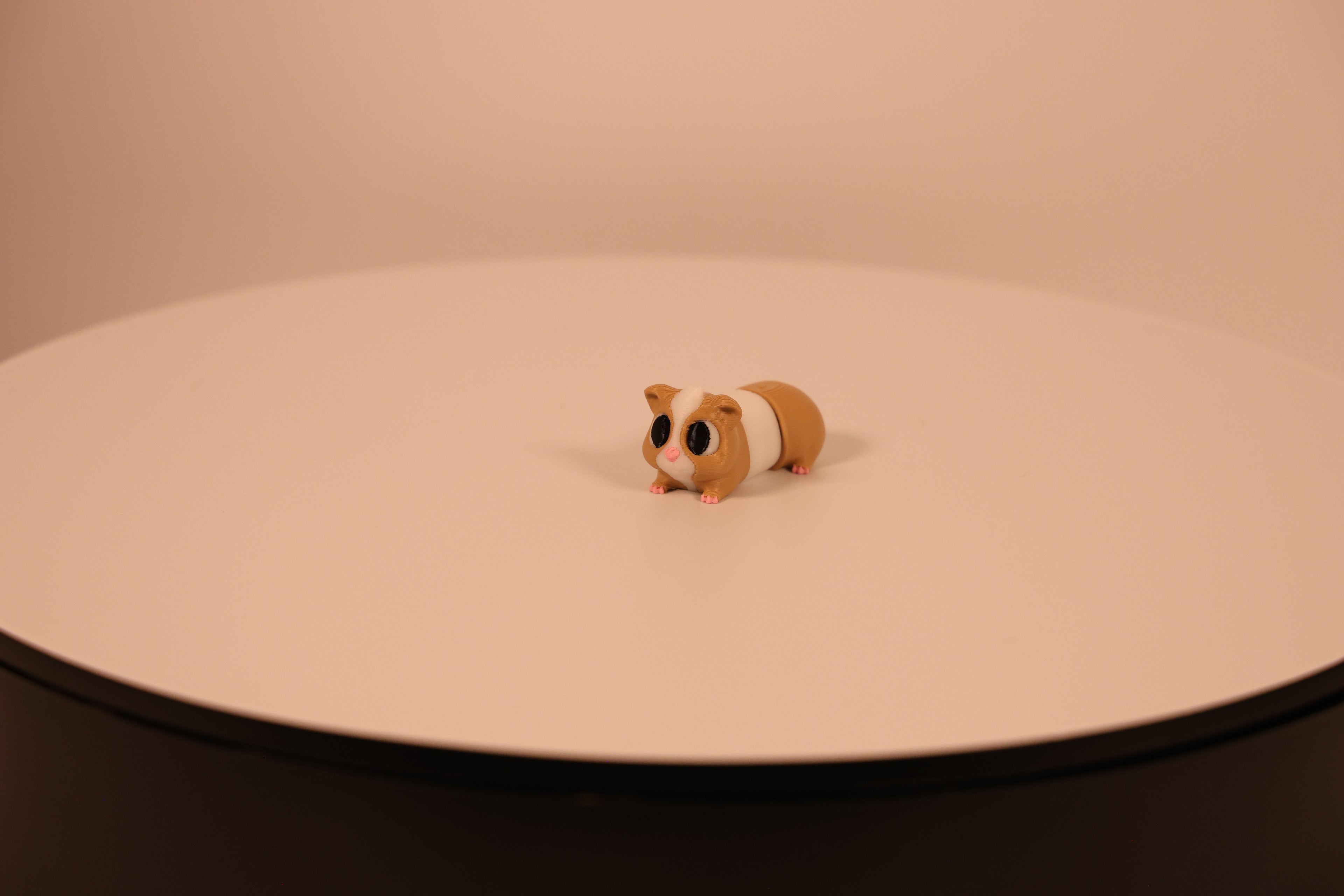 Peanut the Guinea Pig - Desk Pet