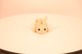 Bunny Flopsy - Desk Pet