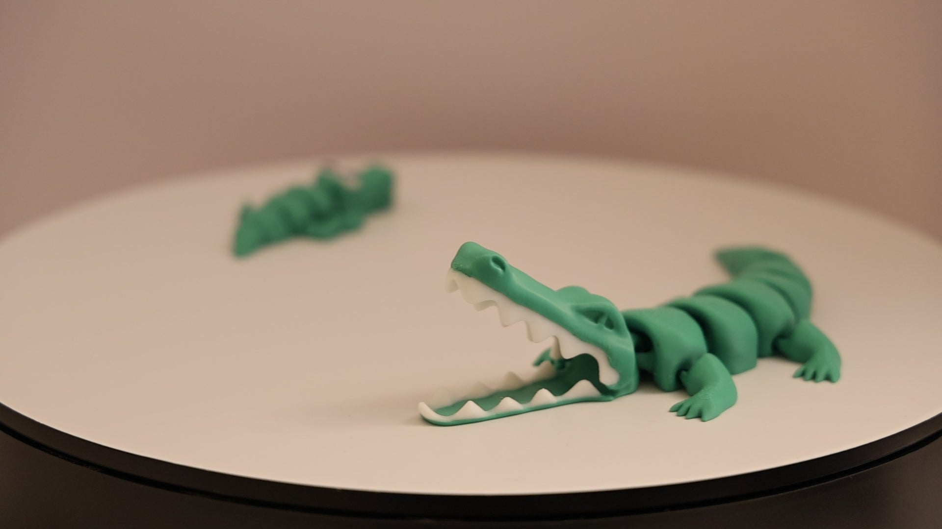 Baby Croc - Desk Pet