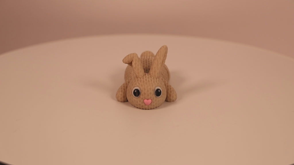Bunny Flopsy - Desk Pet